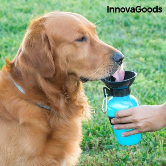 Water bottle for the dog
