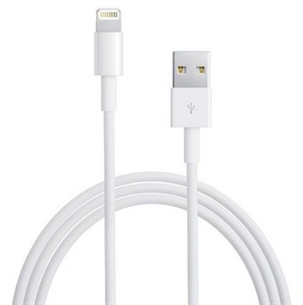 Apple lightning USB Cable iPad / iPhone - Original Apple Cable