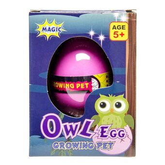 Growth Egg Owl