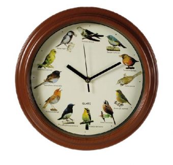 Wall clock with bird poop and bird motifs