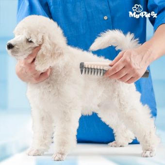 My Pet Electric Hair Remover Comb for Dogs