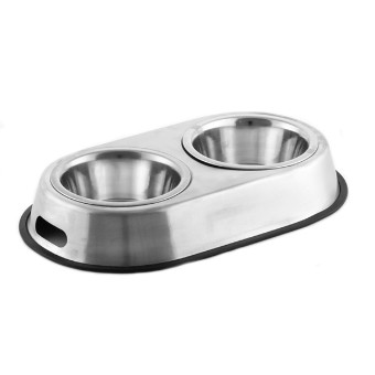 Food and water bowl for the dog