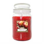 AirPure Scented Candle - Apple Cinnamon - Light Added Essential Oil - Apple Scent