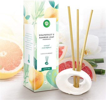 Air Wick Air Freshener Scent Sticks - First Day of Spring