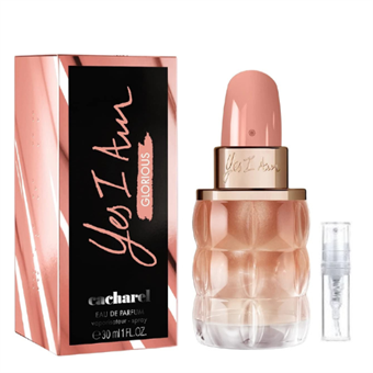 PIERRE CARDIN by Pierre Cardin - Cologne / Eau De Toilette Spray 240 ml - for men