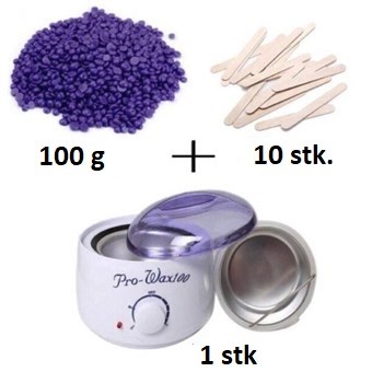 Wax Bean starter pack - Small