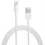 Apple lightning USB Cable iPad / iPhone - Original Apple Cable