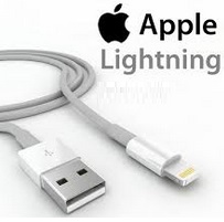  Apple Lightning