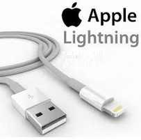Apple Lightning Apple Lightning