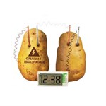 Potato Digital Watches