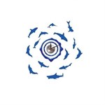 Smart Dolphin Wall Clocks