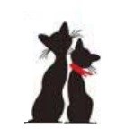 TipTop Wallstickers Black Cats Photo Frame Pattern