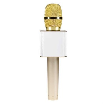 Q9 Professional Wireless Microphone with Speaker - Gold