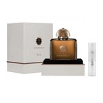 PIERRE CARDIN by Pierre Cardin - Cologne / Eau De Toilette Spray 240 ml - for men