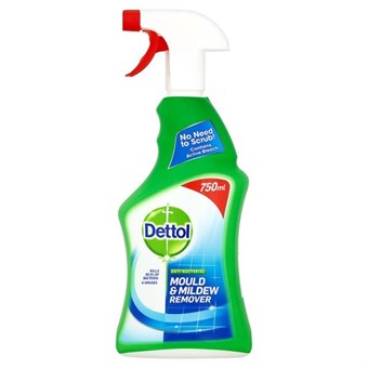 Dettol Complete Clean Anti-Bacterial Spray & Wipe Floor Cleaner - Green Apple Fragrance - 1 l