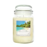 AirPure Scented Candle 500 grams - Woodland Seas