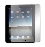 iPad 1 Screen Protector (Clear)