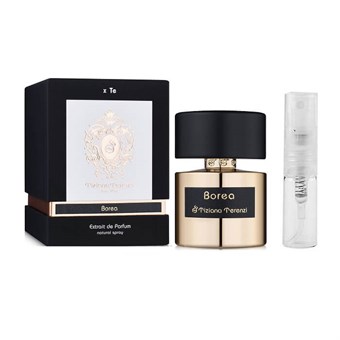 PIERRE CARDIN by Pierre Cardin - Cologne / Eau De Toilette Spray 240 ml - for men