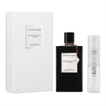PIERRE CARDIN by Pierre Cardin - Cologne / Eau De Toilette Spray 240 ml - for men
