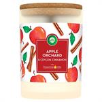 Air Wick Scent Light - 185 grams - Apple Orchard & Ceylon Cinnamon