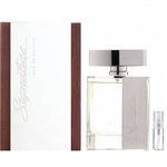 PIERRE CARDIN by Pierre Cardin - Cologne / Eau De Toilette Spray 240 ml - for men