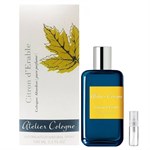 PIERRE CARDIN by Pierre Cardin - Cologne / Eau De Toilette Spray 240 ml - for men