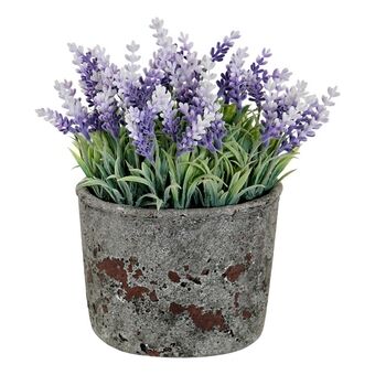 Decorative Flowers DKD Home Decor Lavendar Cement Iron PE (15 x 15 x 21 cm)