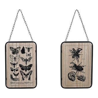 Painting DKD Home Decor S3013953 Insects Black Metal MDF Wood (20.5 x 1 x 32 cm) (2 pcs)