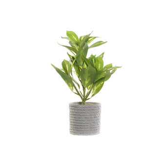 Decorative Plant DKD Home Decor Green Grey PVC EVA (18 x 18 x 32 cm)