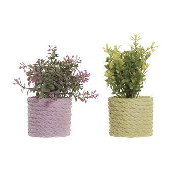 Decorative Plant DKD Home Decor Pink Green Yellow EVA PE (15 x 15 x 17 cm) (2 Units)