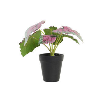 Decorative Plant DKD Home Decor Pink Green PE (10 x 10 x 22 cm)