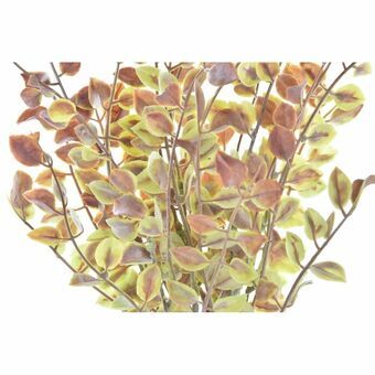 Bouquets DKD Home Decor Brown Polyester Green PE (12 x 12 x 34 cm) (2 Units)