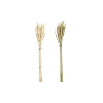 Bouquets DKD Home Decor Wheat Ear (of wheat) (8 x 3 x 59 cm) (2 Units)