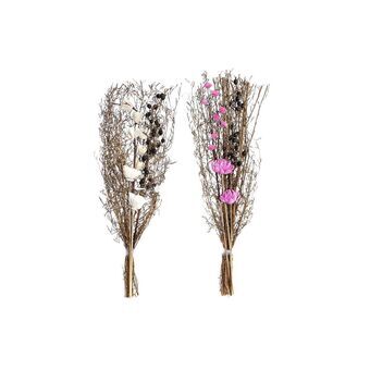 Bunch DKD Home Decor Pink Brown White Dried flower (2 Units) (30 x 30 x 65 cm)
