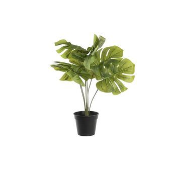 Decorative Plant DKD Home Decor Monstera Green PP PE (40 x 30 x 50 cm)
