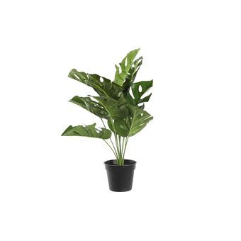 Decorative Plant DKD Home Decor Monstera Green PP PE (48 x 42 x 51 cm)