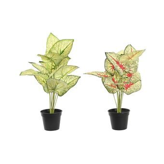 Decorative Plant DKD Home Decor Red White Green PP PE (30 x 43 x 54 cm) (2 Units)