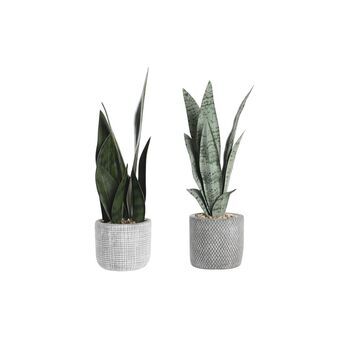 Decorative Plant DKD Home Decor Grey Green Resin PE (10,5 x 10,5 x 34,5 cm) (2 Units)