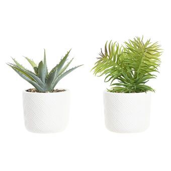 Decorative Plant DKD Home Decor White Green Resin PE (10 x 10 x 20,5 cm) (2 Units) (3 Units)