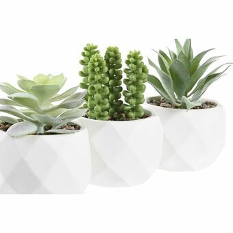 Decorative Plant DKD Home Decor White Green Resin PE (10 x 10 x 14 cm) (3 Units)