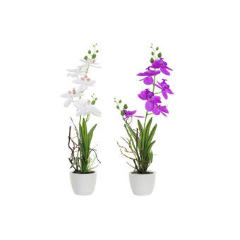 Decorative Flowers DKD Home Decor Fuchsia White Oriental Orchid (14 x 14 x 45 cm) (2 Units)