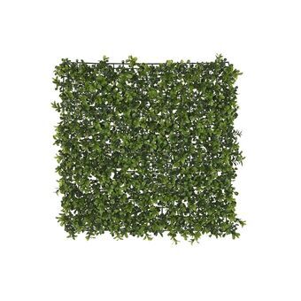 Vertical Garden Kit DKD Home Decor Green (50 x 50 x 5 cm)