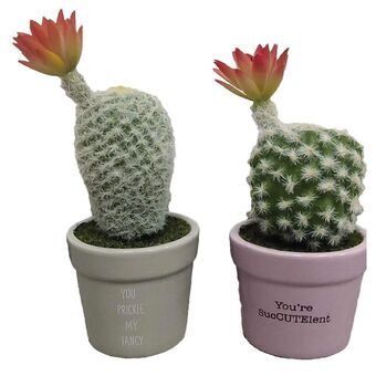 Decorative Plant DKD Home Decor Cactus Ceramic Grey Pink PE (8 x 8 x 20 cm) (2 Units)