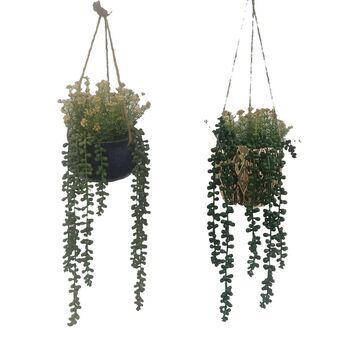Decorative Plant DKD Home Decor Pendant Ceramic PE (15 x 15 x 70 cm) (2 Units)