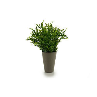 Plant pot Green Plastic 13 x 25 x 13 cm