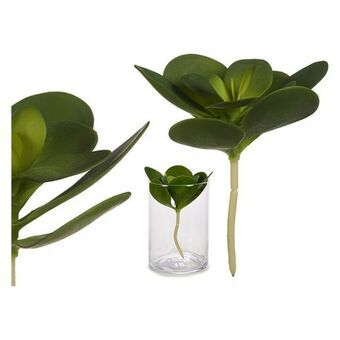 Decorative Plant Green Plastic (16 x 25 x 16	 cm) (18 x 23 x 18	 cm)