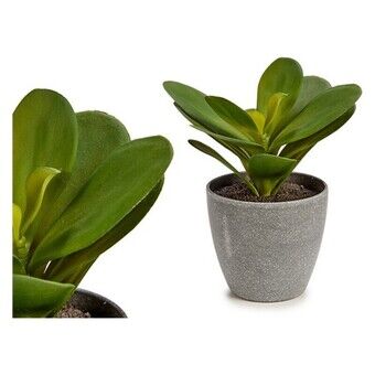 Plant pot Green Plastic (11 x 15 x 11 cm)