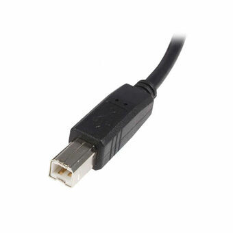 USB A to USB B Cable Startech USB2HAB3M            Black