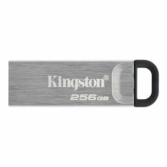 USB stick Kingston DTKN/256GB USB 3.2 Black Silver 256 GB