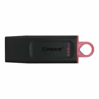 USB stick Kingston DTX/256GB Keychain Black 256 GB